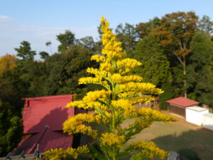 2025年10月01日の記事に移動します