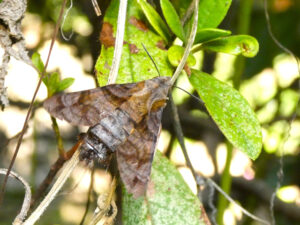 2025年11月01日の記事に移動します