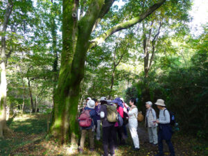 2025年12月19日の記事に移動します