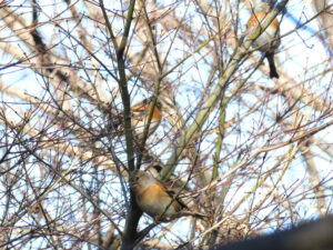 2025年12月02日の記事に移動します