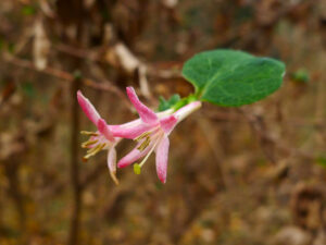 2025年12月28日の記事に移動します