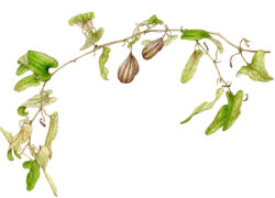 2026年01月01日の記事に移動します