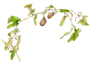 2026年01月01日の記事に移動します