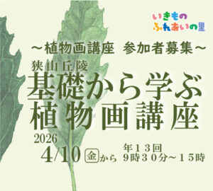 2026年01月28日の記事に移動します