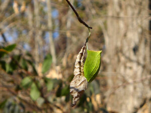 2026年02月01日の記事に移動します
