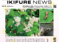 2026年03月19日の記事に移動します