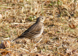 2026年03月01日の記事に移動します