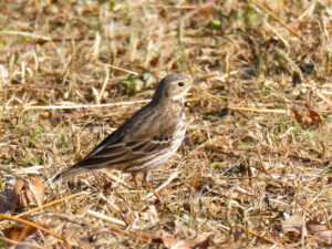 2026年03月01日の記事に移動します