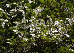 2026年04月02日の記事に移動します