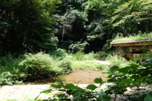 2017年08月10日の記事に移動します