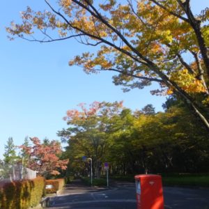2017年10月28日の記事に移動します