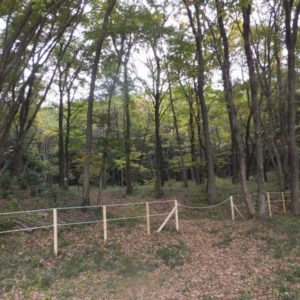 2017年11月23日の記事に移動します