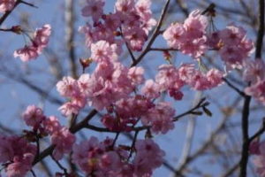 2016年03月26日の記事に移動します