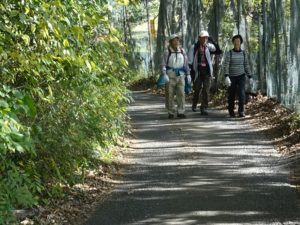 2018年11月20日の記事に移動します