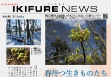 2018年12月16日の記事に移動します