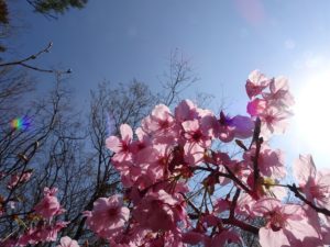 2019年03月26日の記事に移動します