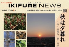 2019年09月19日の記事に移動します