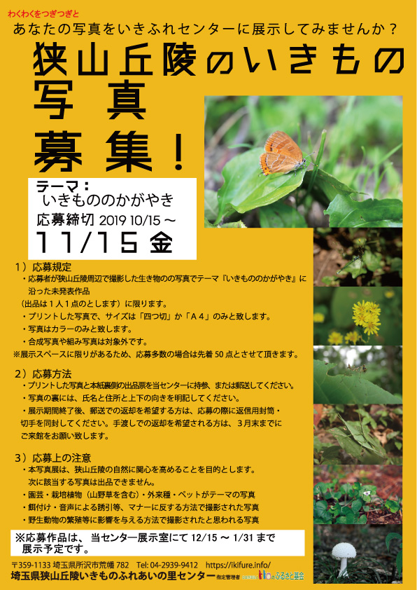 写真展チラシ表