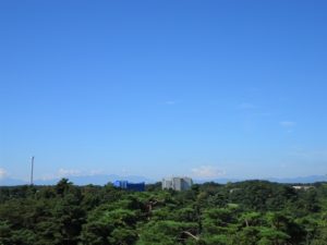 2020年08月13日の記事に移動します
