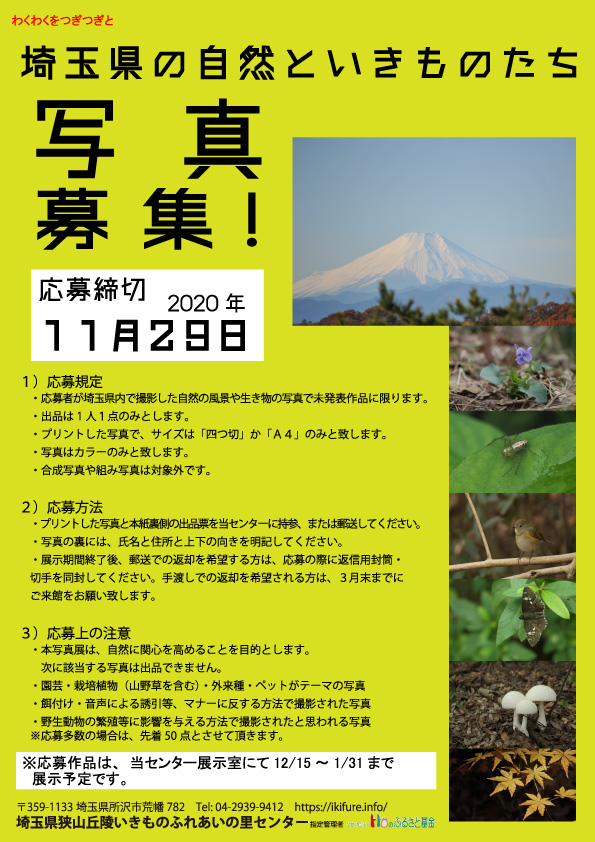 写真展