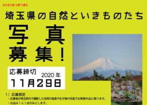 2020年10月10日の記事に移動します