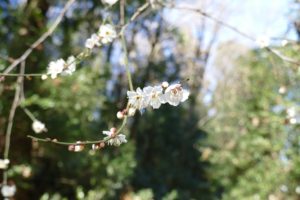 2021年01月30日の記事に移動します