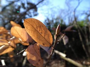 2021年01月10日の記事に移動します