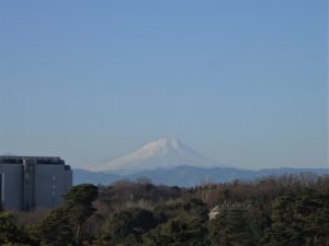 2021年01月14日の記事に移動します
