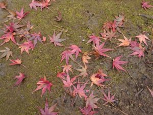 2021年01月24日の記事に移動します
