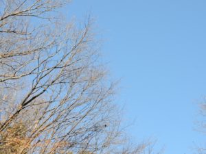2021年01月09日の記事に移動します