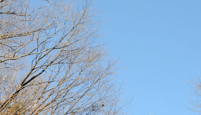 今日の空