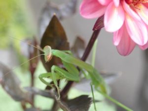 2021年07月30日の記事に移動します