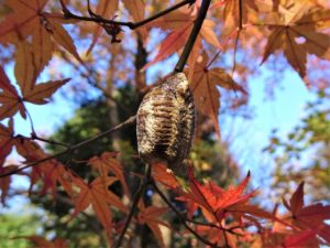 2021年12月03日の記事に移動します