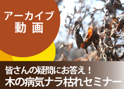 2022年03月12日の記事に移動します