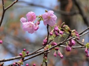 2023年03月14日の記事に移動します