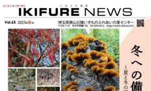 2023年09月14日の記事に移動します