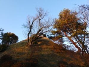 2023年12月28日の記事に移動します