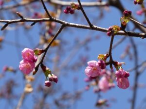 2024年03月19日の記事に移動します