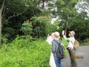 2024年06月30日の記事に移動します