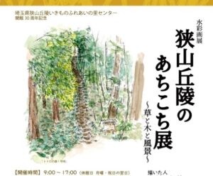 2024年11月06日の記事に移動します