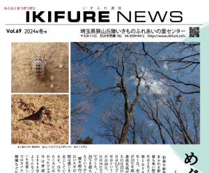 2024年12月16日の記事に移動します