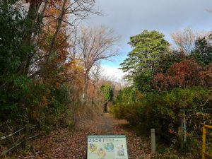 2024年12月28日の記事に移動します