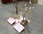イベントの写真２枚目
