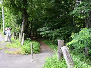 2026年06月13日の記事に移動します