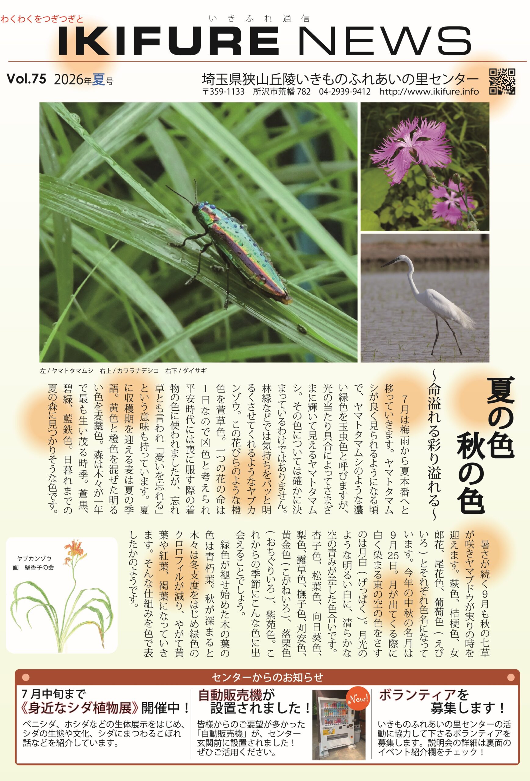 2026 いきふれ通信　夏号　表側