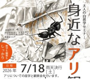 2026年06月13日の記事に移動します
