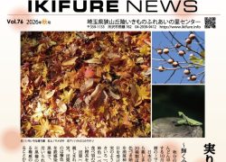 2026年08月21日の記事に移動します
