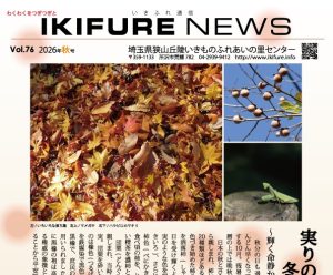 2026年08月21日の記事に移動します